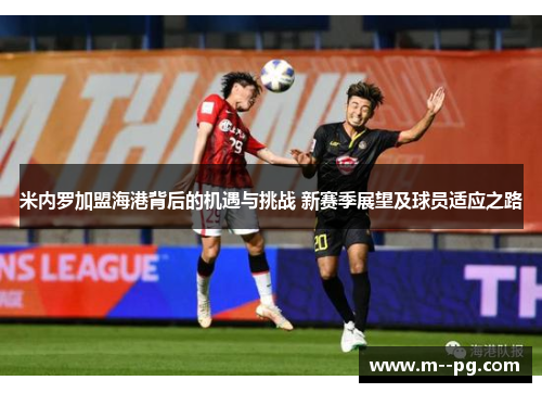 米内罗加盟海港背后的机遇与挑战 新赛季展望及球员适应之路