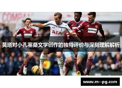 莫塔对小孔塞桑文学创作的独特评价与深刻理解解析
