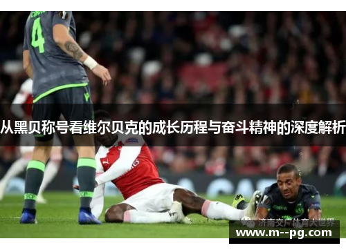 从黑贝称号看维尔贝克的成长历程与奋斗精神的深度解析 从黑贝称号看维尔贝克的成长历程与奋斗精神的深度解析