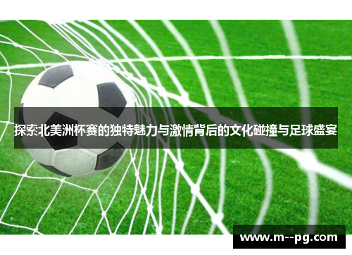 探索北美洲杯赛的独特魅力与激情背后的文化碰撞与足球盛宴