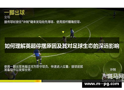 如何理解英超停摆原因及其对足球生态的深远影响 如何理解英超停摆原因及其对足球生态的深远影响