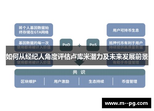 如何从经纪人角度评估卢库米潜力及未来发展前景