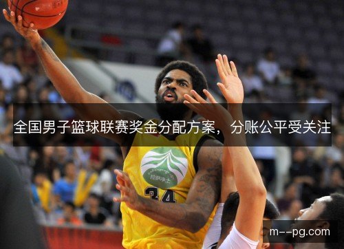 全国男子篮球联赛奖金分配方案，分账公平受关注